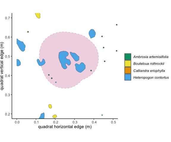 Figure 3.1: This individual outlined in pink is a focal individual, and the pale pink shows a 10 cm buffer around it.